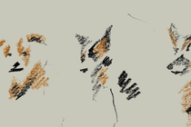 Sketches of animals