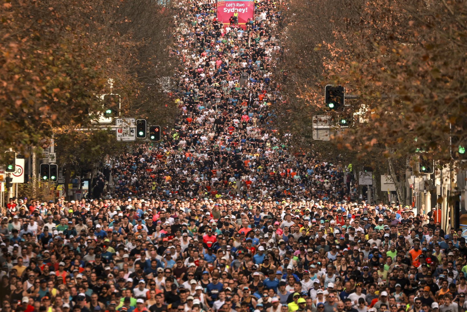 A long-lens view of thousands of runners descending a hill on a road during a mass-start of a fun run.