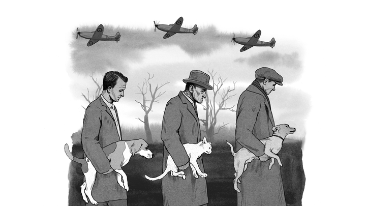 Inhumane Society The Great Cat And Dog Massacre The Atlantic