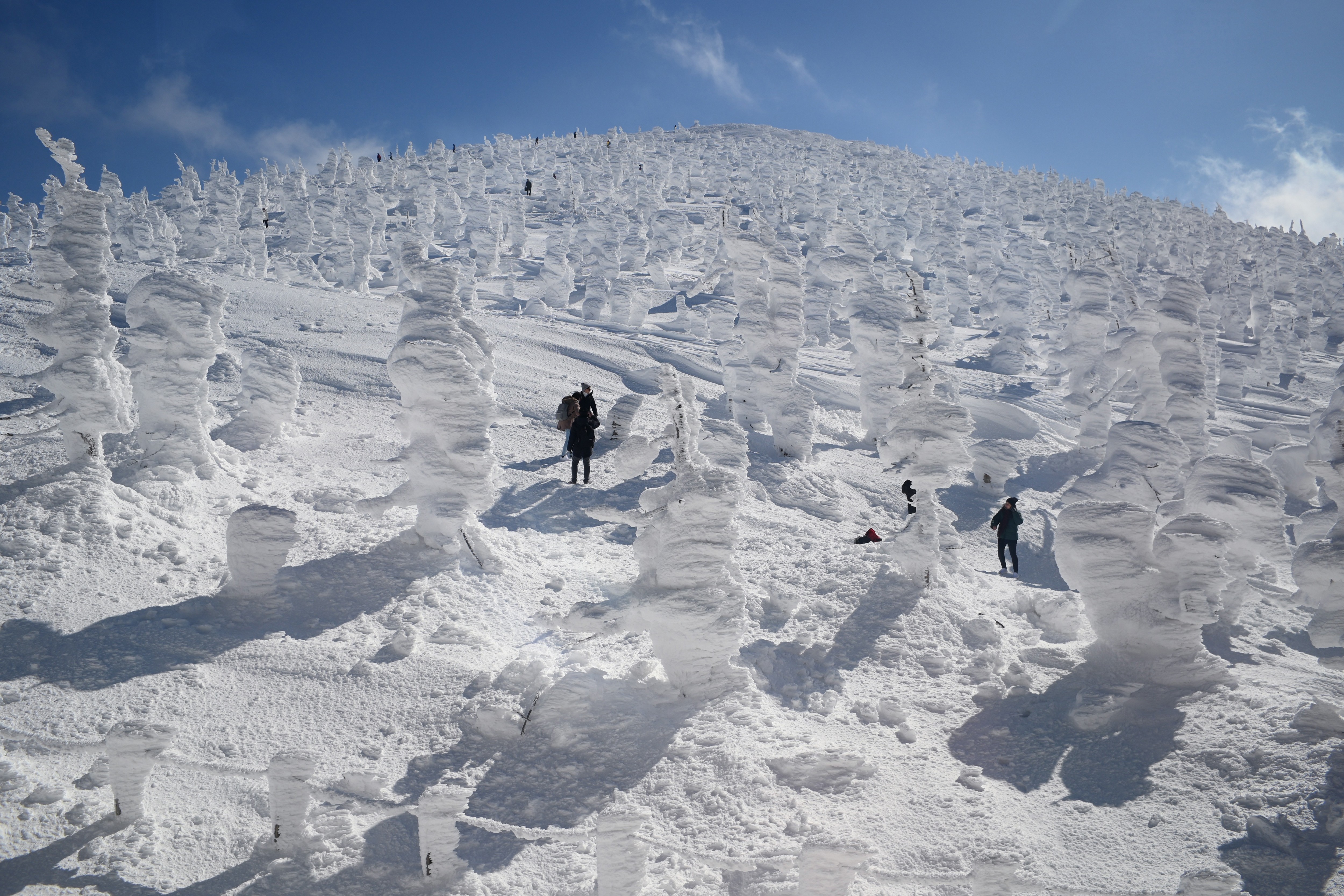 People walk on a mountain slope among snow-and-ice-covered trees