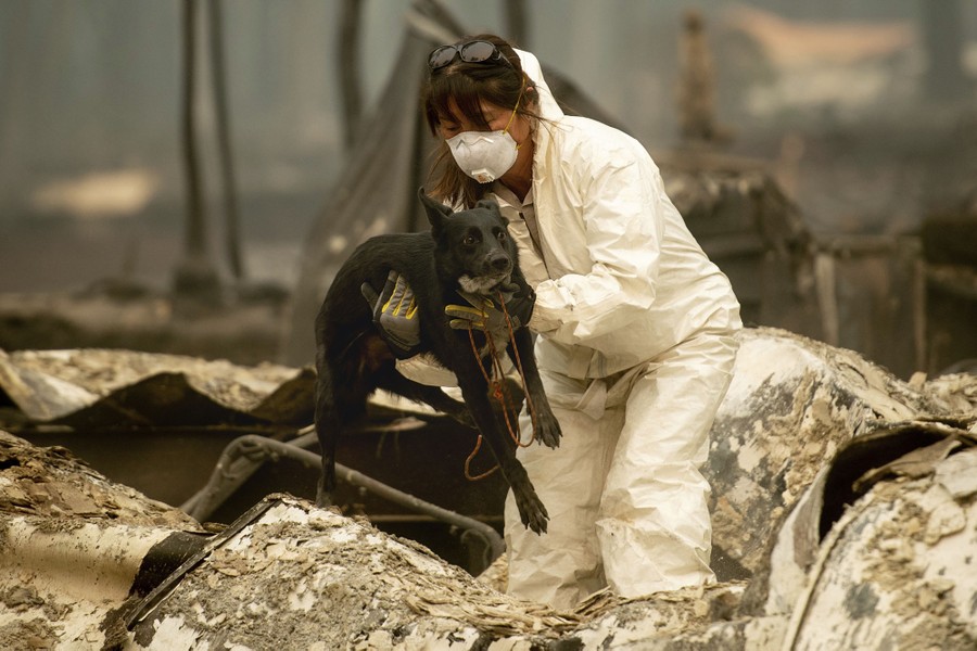 A rescue worker wearing protective gear carries a dog over the burned remains of a building.