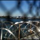 A view of Manhattan through barbed wire at a Rikers Island facility