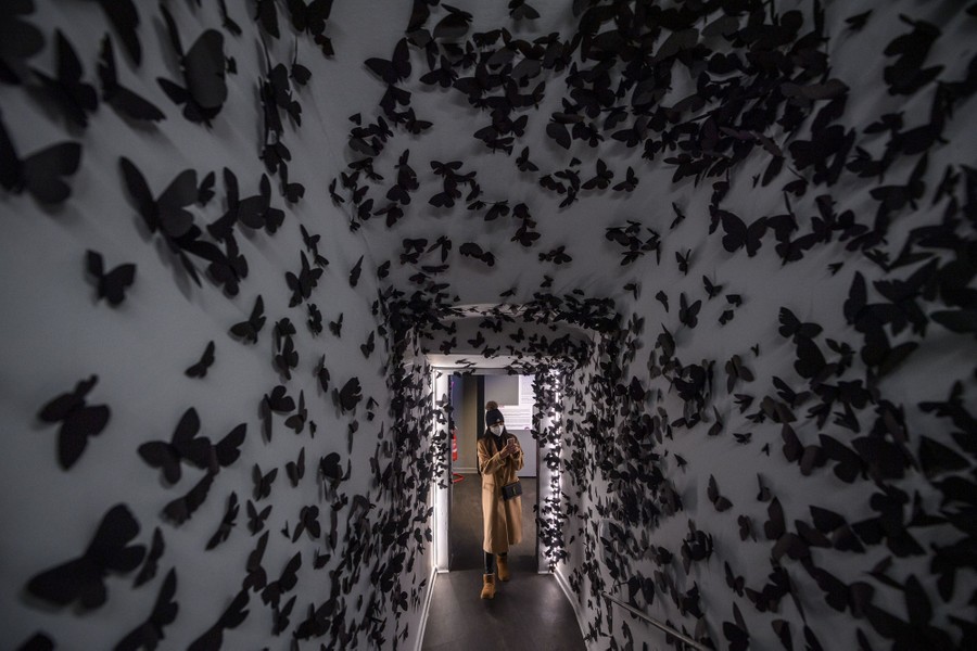 A person walks through an art exhibit consisting of a hallway with its walls covered in hundreds of black butterflies.