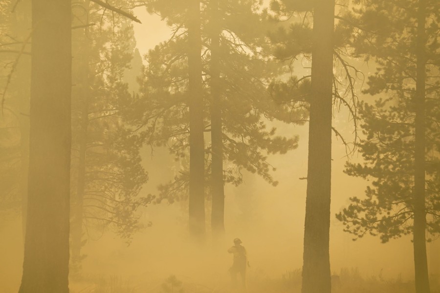 A firefighter works in a very smoky forest.