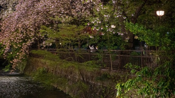 A Tale of Sex and Intrigue in Imperial Kyoto