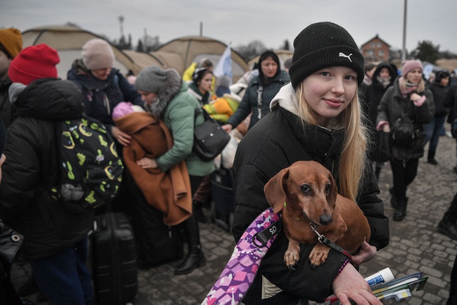 A group of refugees walk near tents, as one carries a small dog in their arms.