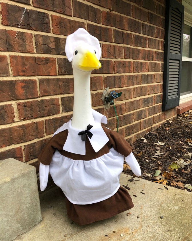 120 Dress up Goose ideas  goose clothes, goose, porch goose