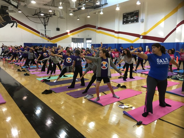 A gymnasium filled with girls strikes a yoga pose.