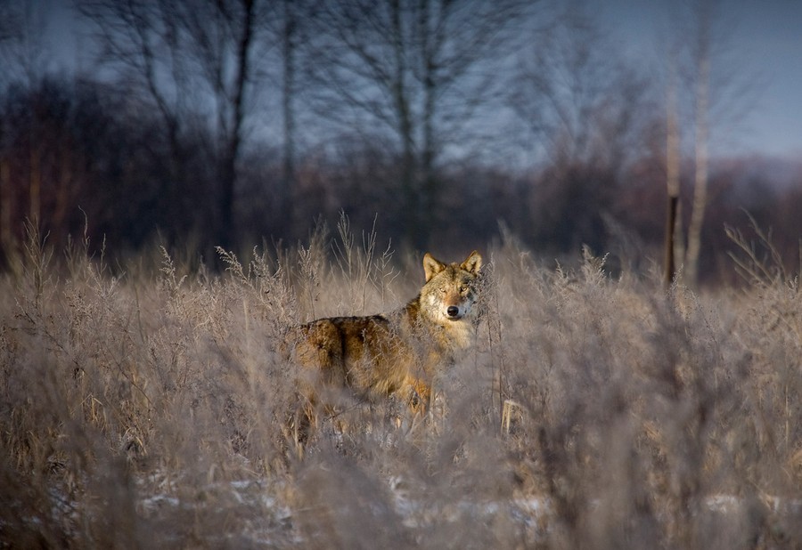The Chernobyl Disaster 25 Years Ago The Atlantic