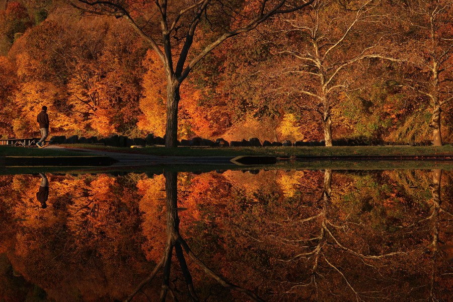 Autumn-colored trees are reflected in water.