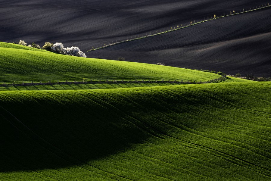 A landscape image of green rolling hills