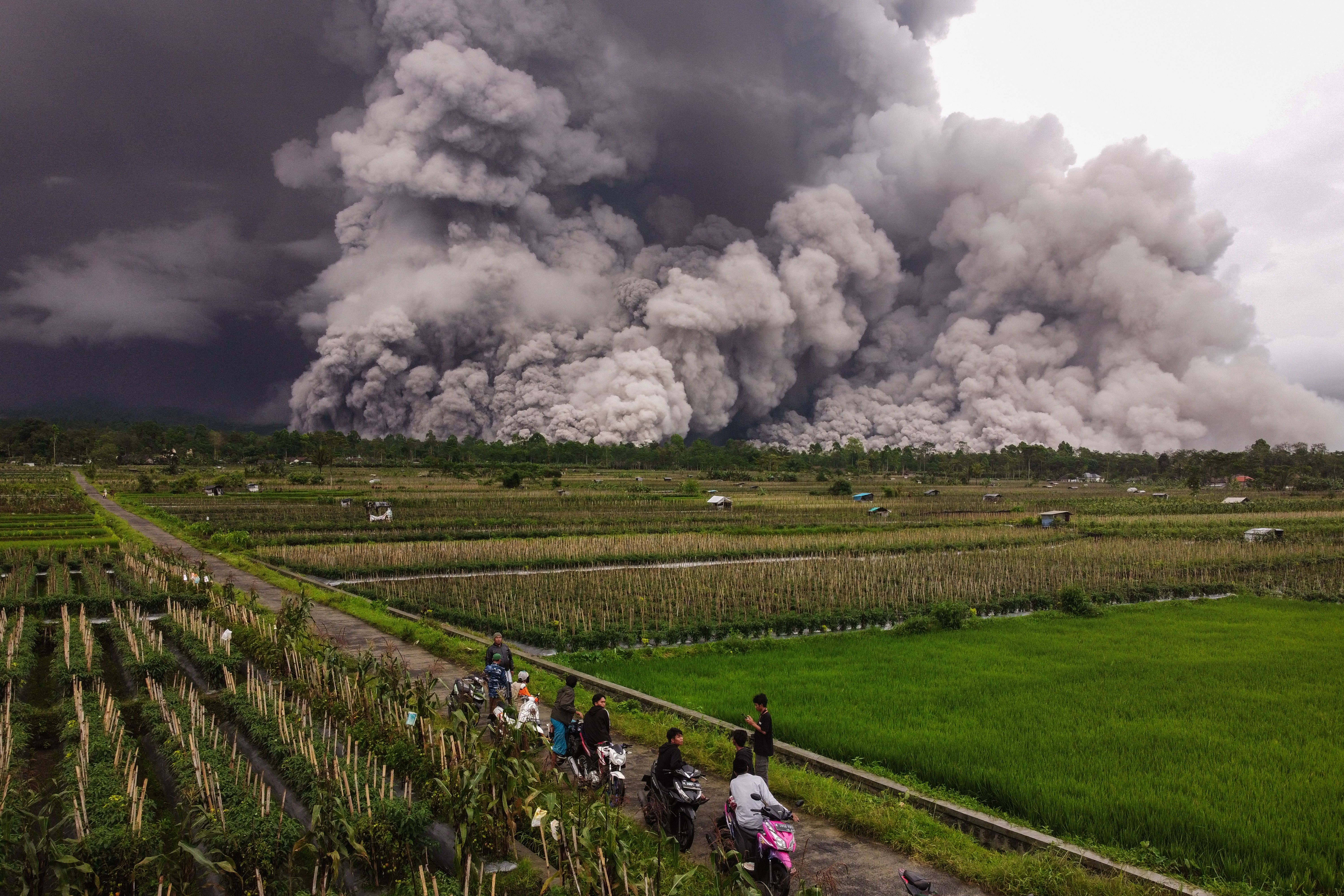 People stand on a dirt road among farm fields, looking back towards rising gray clouds of ash and steam from a nearby volcano.