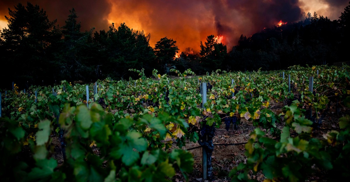 Climate Change Is Ruining Our Wine - The Atlantic