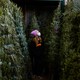 A girl wearing a mask stands between two rows of Christmas trees.