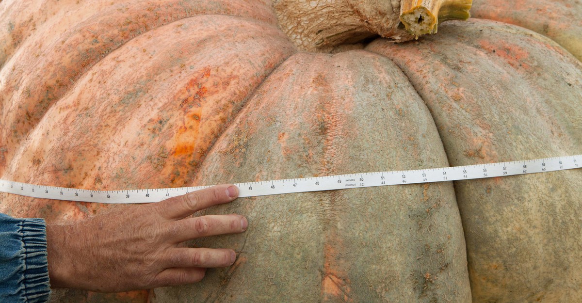 The Dream of a 3,000-Pound Pumpkin