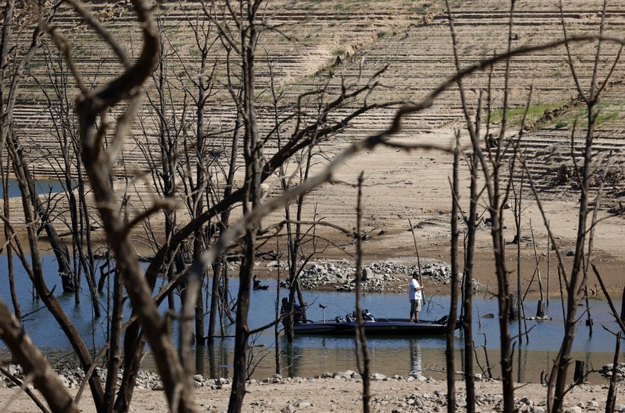 A person fishes from a boat floating in shallow water, seen through dead trees, surrounded by steep reservoir banks.