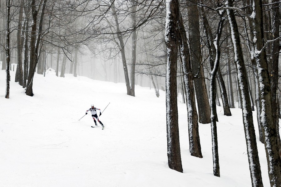 A person skis on a wide path among trees.