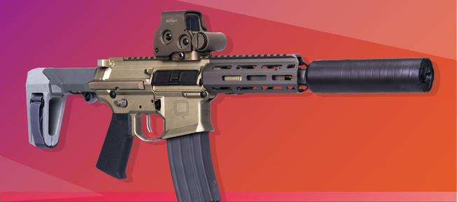An illustration of a "Q"-branded AR-15 made by Live Q or Die