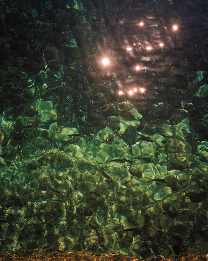 photo of light sparking on clear water with stony shallow bottom that deepens into darkness, with fish