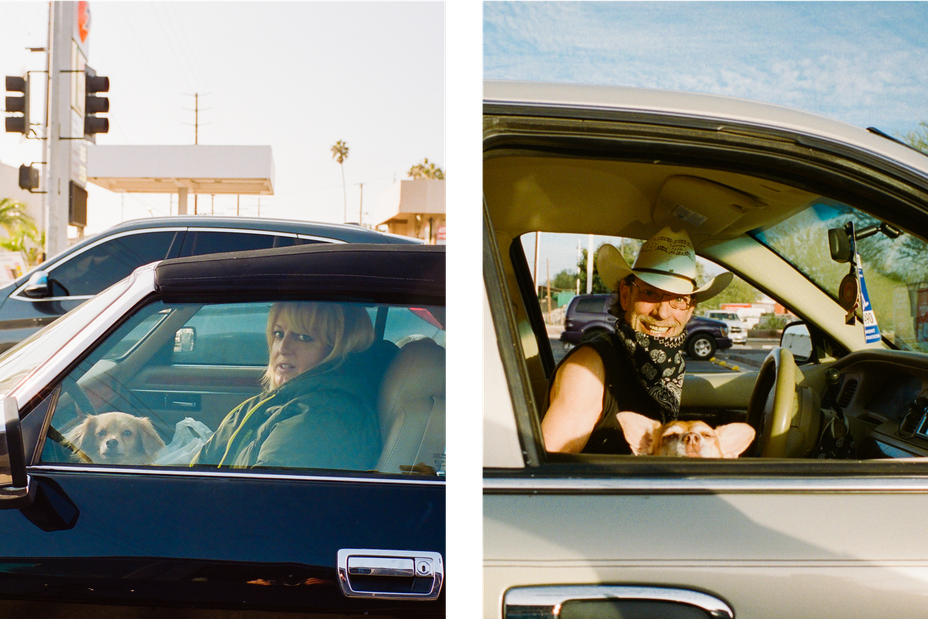 2 photos: skeptical woman driving car at stoplight with dog; grinning man driving in car at stoplight with dog