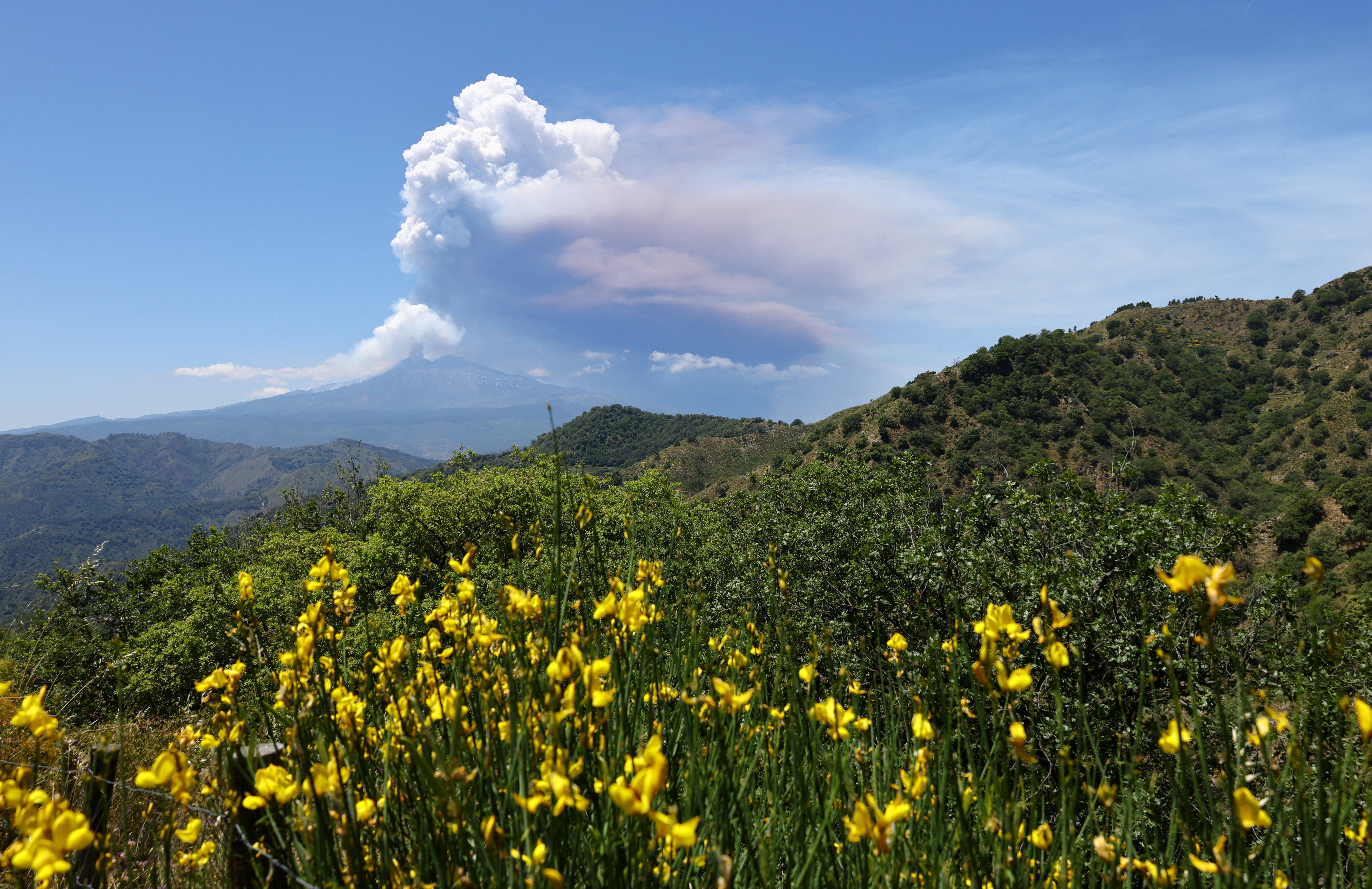 A plume rises from a distant volcano, seen past hills covered with shrubs and flowers.