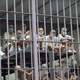 Picture of prisoners in Salvadorean jail