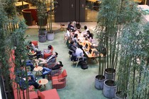 Workers at an open office with bamboo