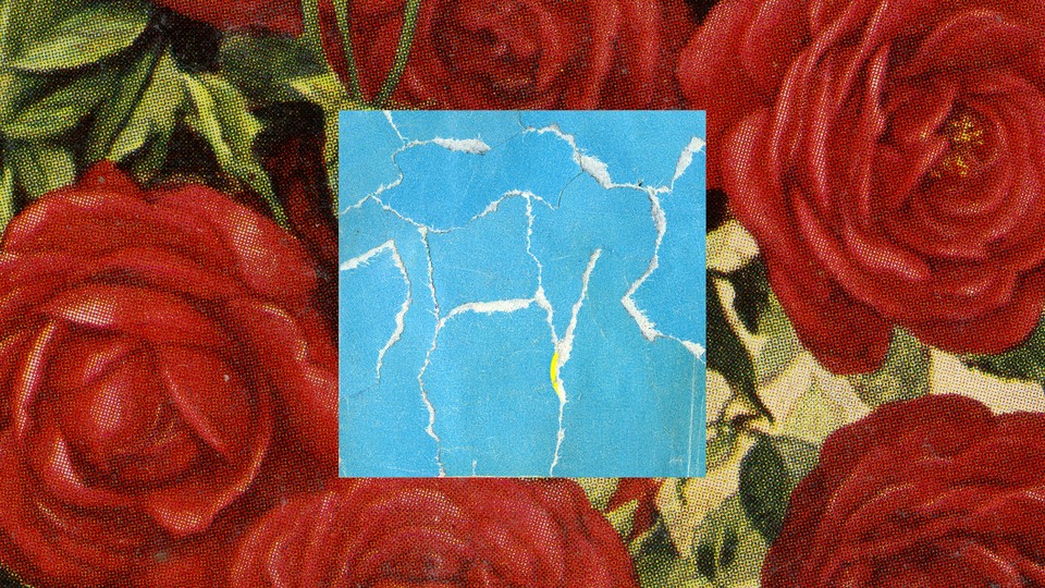 A piece of torn-up blue paper against a backdrop of red roses