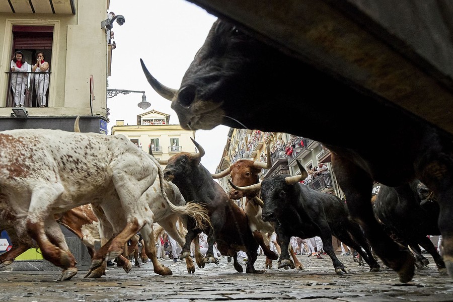 The Running of the Bulls 2023 - The Atlantic