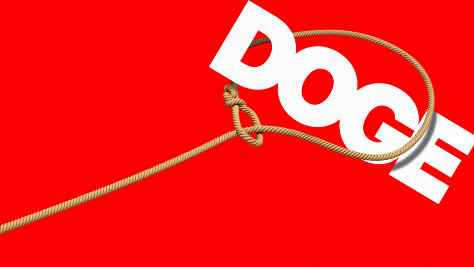 An illustration of a lasso wrangling the word “DOGE”