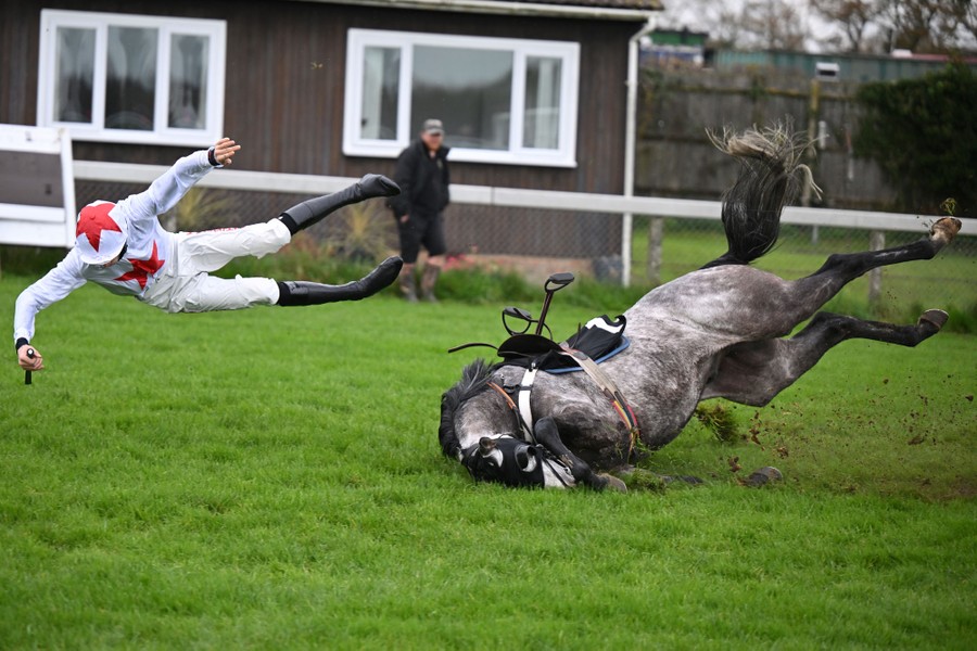 A jockey falls a good distance from a horse that is also falling onto grass.