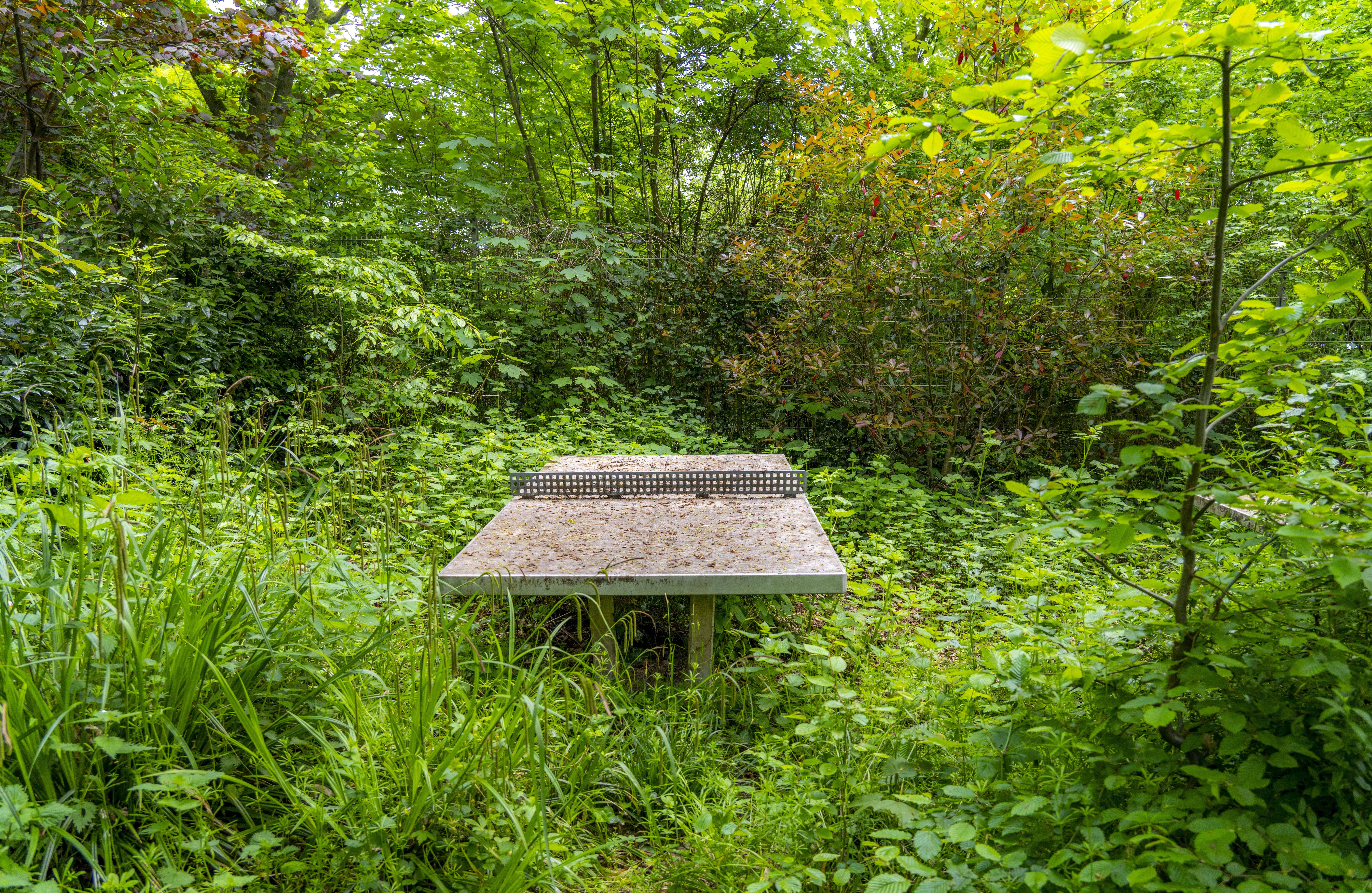 An old table tennis table sits in an abandoned, overgrown playground.