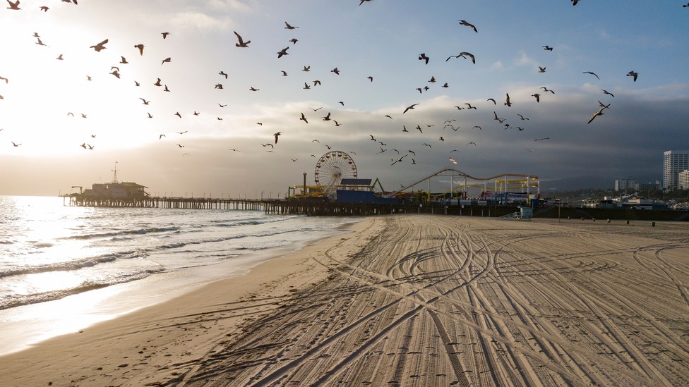 An empty beach with birds flying around