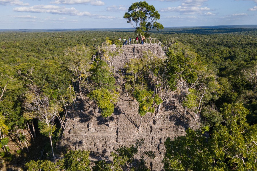 Half a dozen people stand atop a Mayan pyramid that is partly overgrown with trees, in a wide forested area.