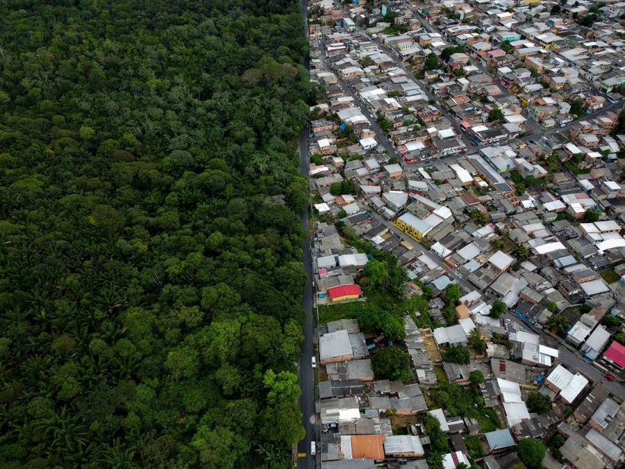 An aerial view of a straight-line border between a neighborhood and a dense jungle