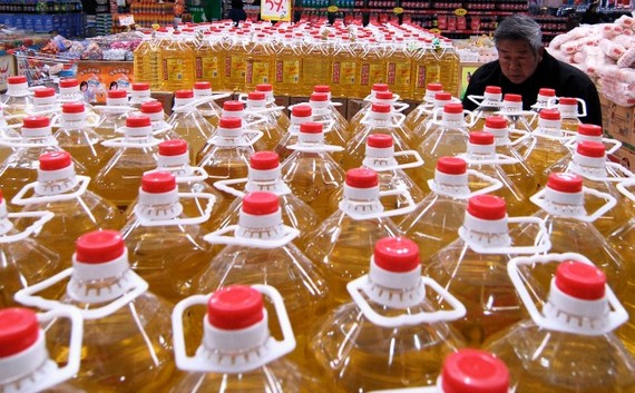 China's Revolting Spit Oil and Gutter Oil and Why it Will Never go Away 