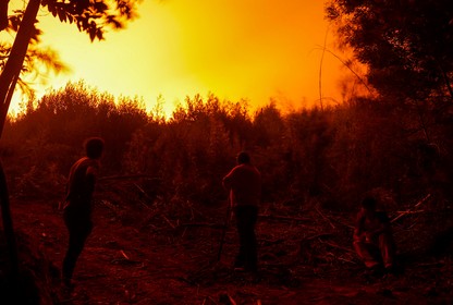 Three people stand outdoors in dim lighting as an orange glow from a forest fire fills the sky above a hedge of trees.