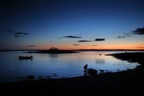 In the evening twilight, Diane Cowan, a marine biologist who has been studying lobster behavior and ecology for 30 years, ties up her skiff on the shoreline of Friendship Long Island, Maine.