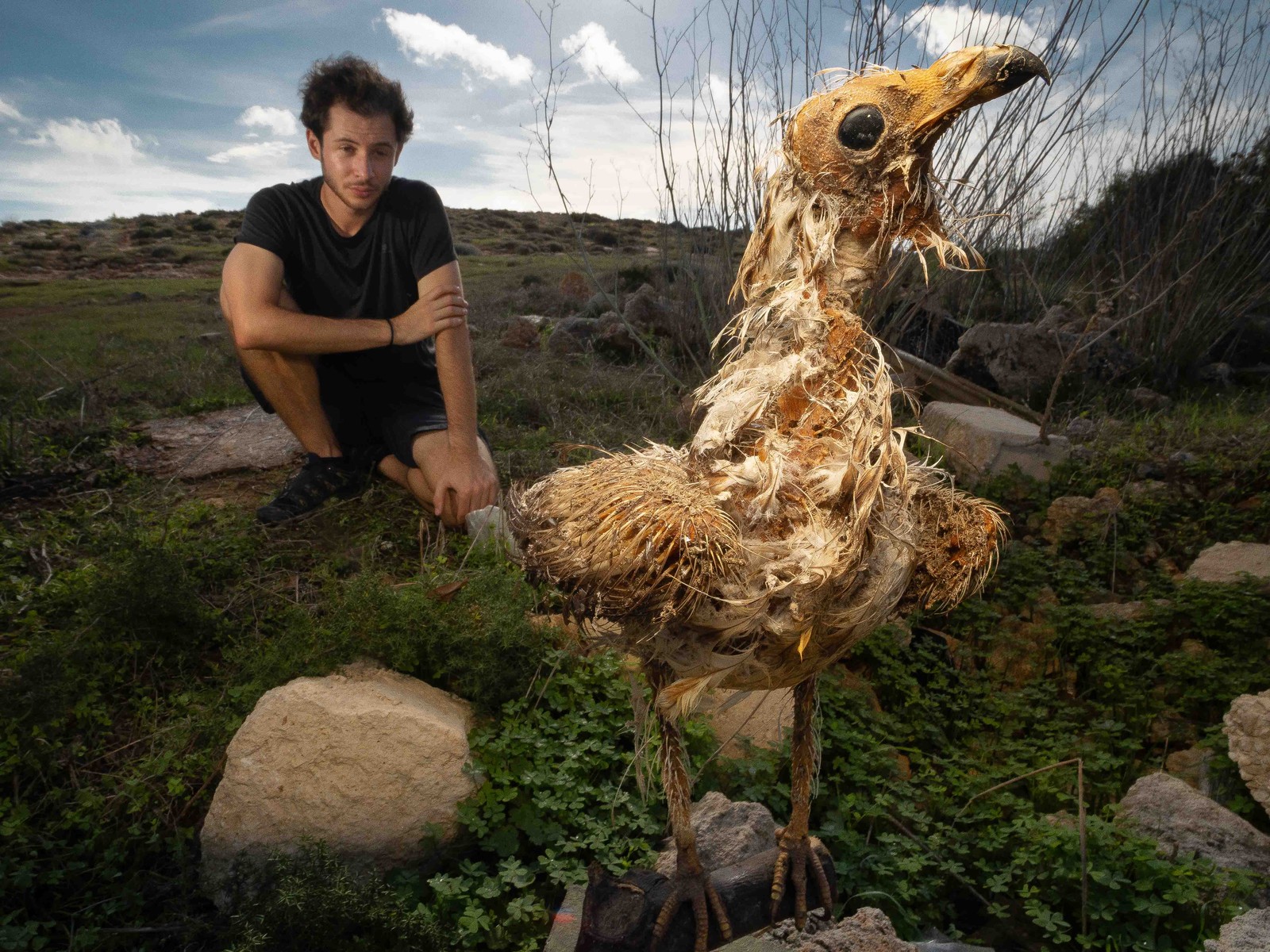 A person kneels in a field beside an old stuffed vulture that is falling apart. 