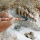 A hand brushes off a specimen at an excavation site