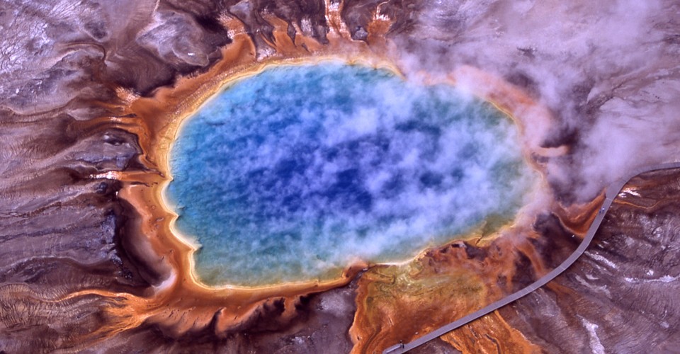Archaea The Dark Matter Of The Microbial World The Atlantic