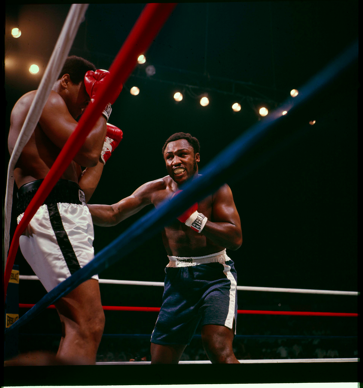 color photo of Ali and Frazier boxing, with Ali on ropes as Frazier punches