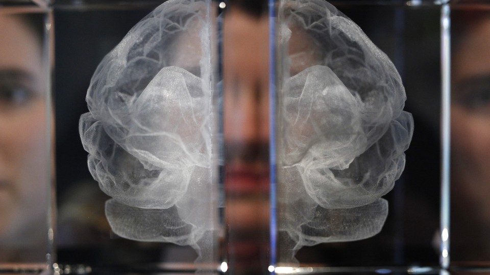 A glass etching of a brain