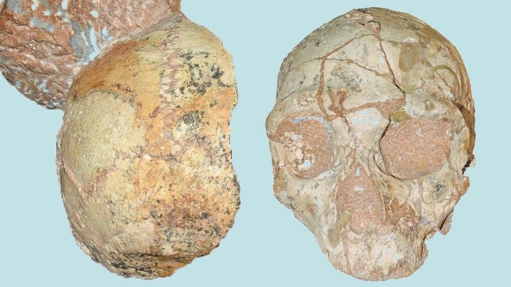 Apidima 1 Is The Oldest Human Fossil Outside Africa The Atlantic