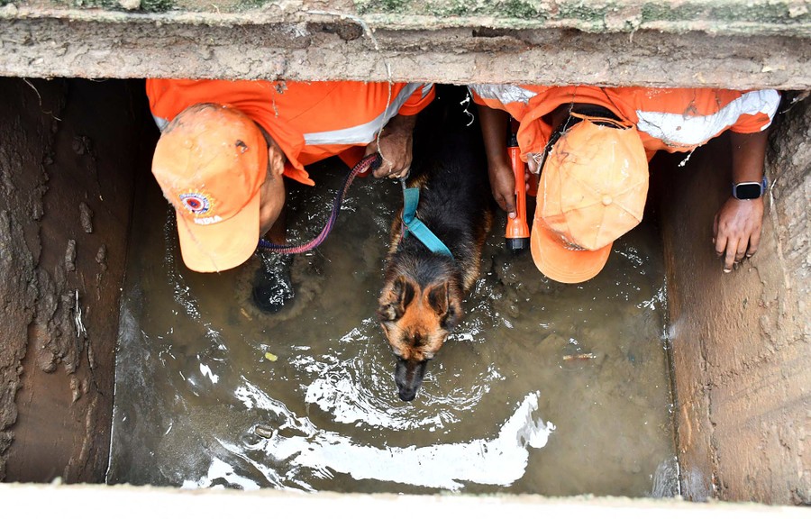 Two rescue workers walk through a partially-flooded ditch with a sniffer dog.