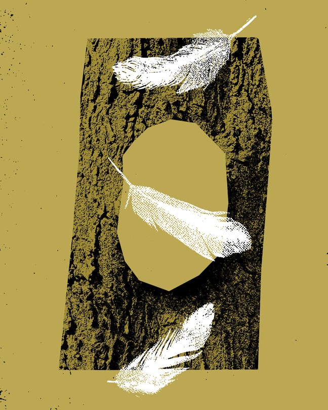 Bird feathers falling over an image of a tree trunk with a hole in the center