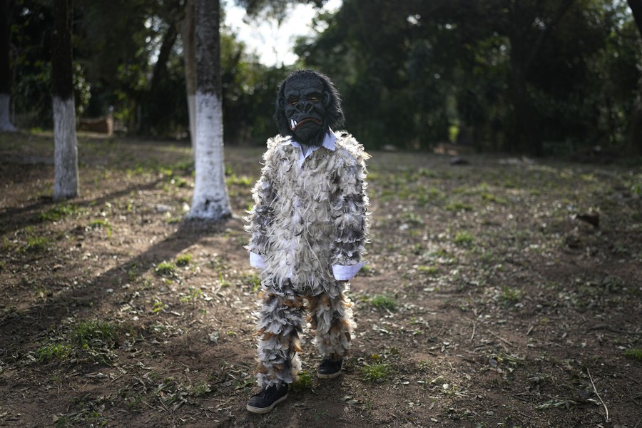 A young person dressed in a feathered costume and gorilla mask walks past trees.