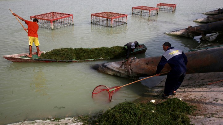 Workers in Basra, Iraq, clean polluted water.