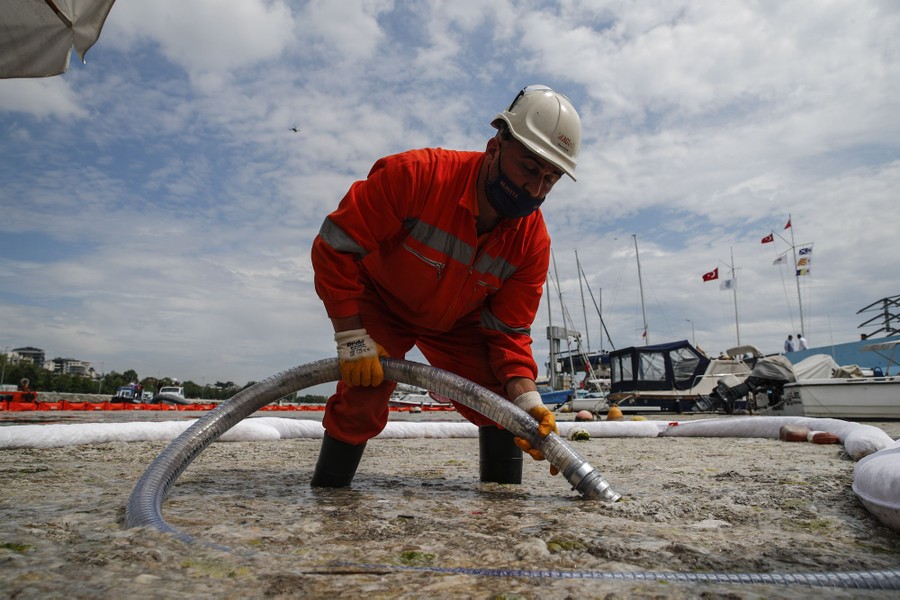A worker uses a hose to vacuum up sea snot.