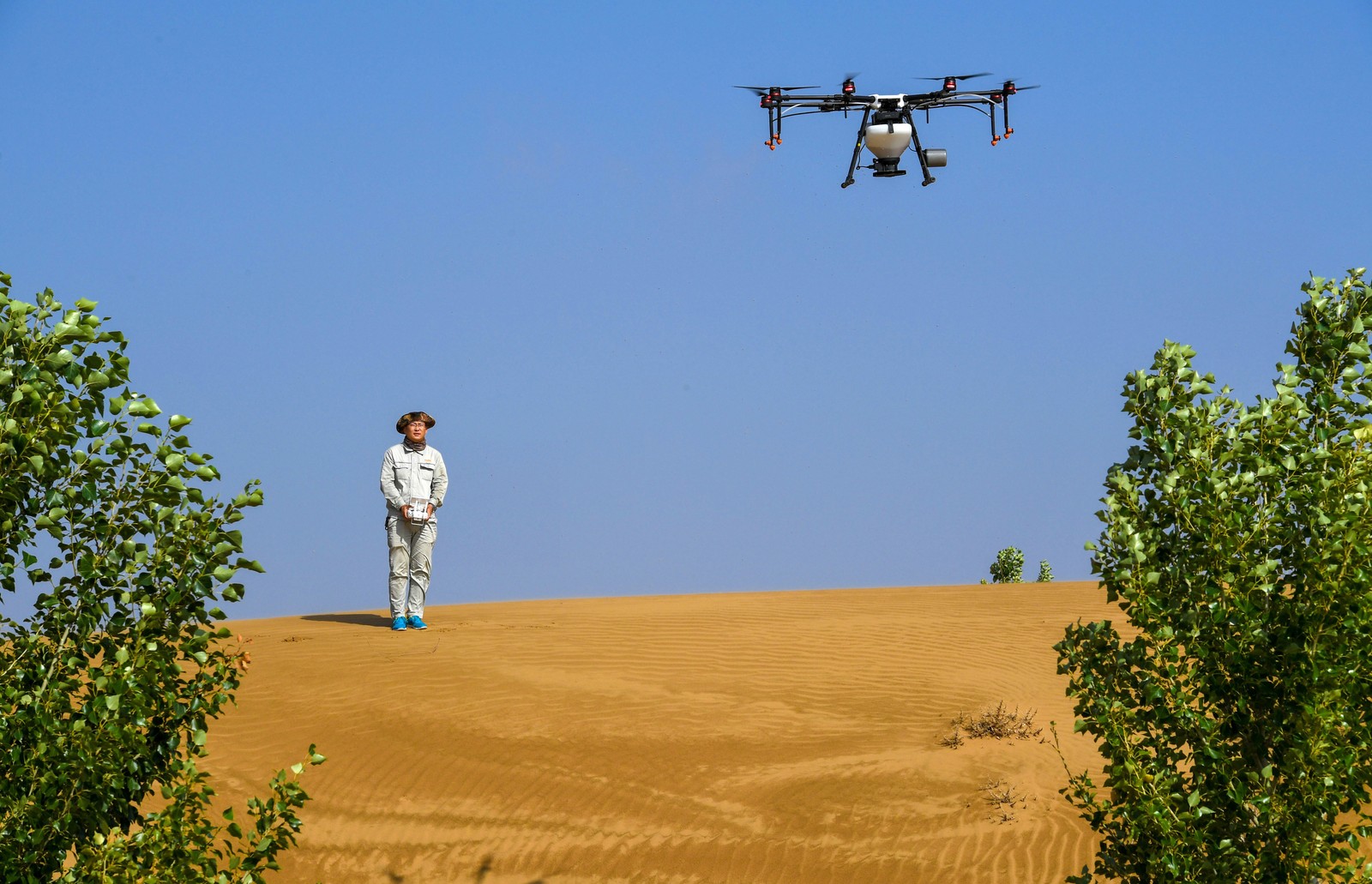 A person stands on a sand dune, controlling a small drone that flies above trees.